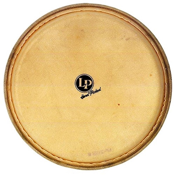 Sonic Boom Evans Synthethic Head Quinto Z-Series SO3466987 - main